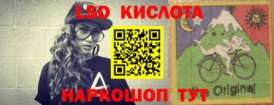 шишки Будённовск