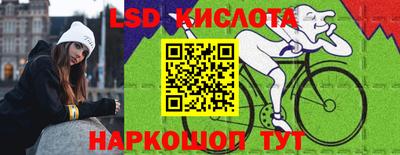 шишки Будённовск