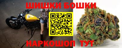 шишки Будённовск