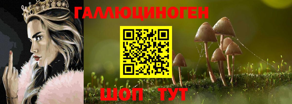 Галлюциногенные грибы Psilocybe  Вход с VPN  Тверь 